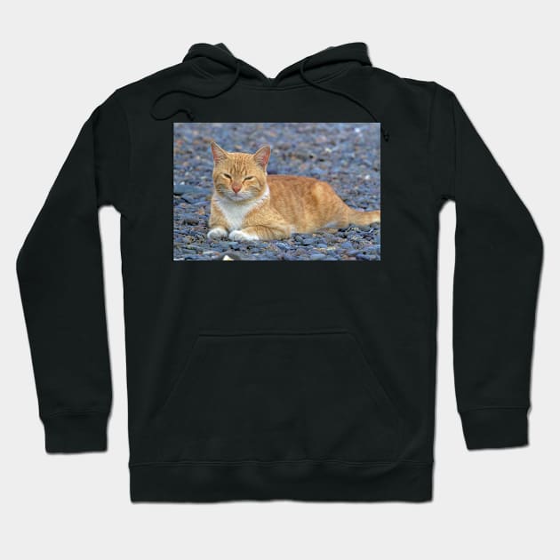 Kitty Friend Hoodie by likbatonboot